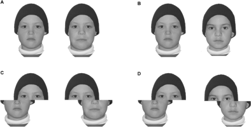 Examples Pairs Of Our Composite Face Stimuli.(a) Same-a 