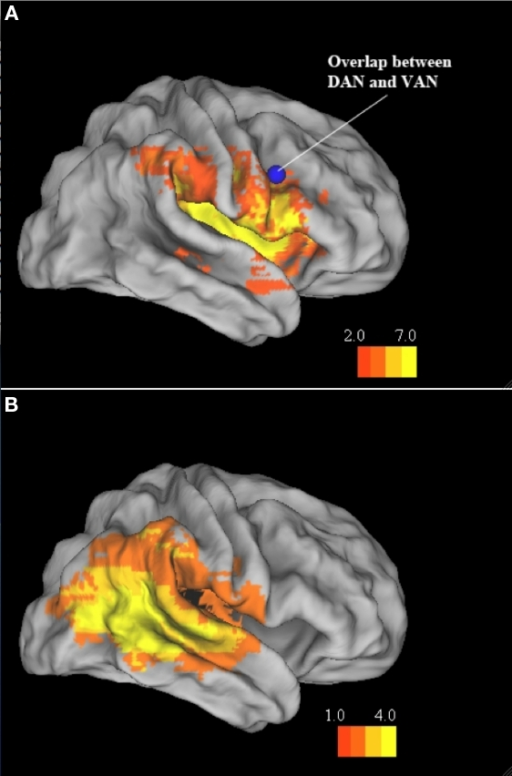 The Open-Focus Brain: Harnessing the Power of Attention to