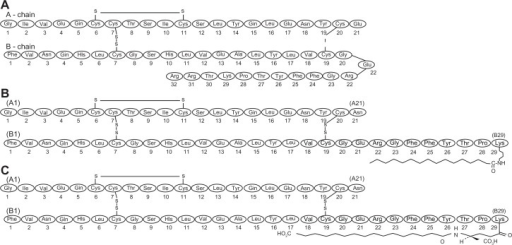 Watch Insulin Aspart-Insulin Degludec video Watch Insulin Aspart-Insulin Degludec video