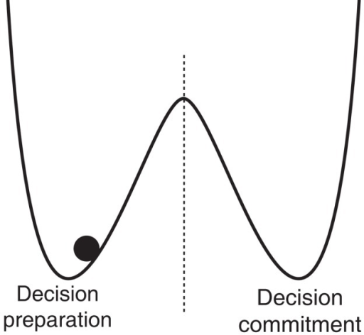 double-well-energy-potential-function-with-system-trap-open-i