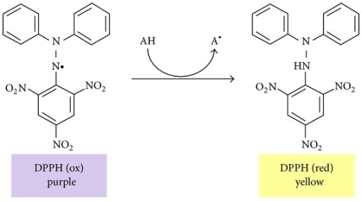 Dpph Assay For Antioxidant Activity Principle Meaning Takealpha