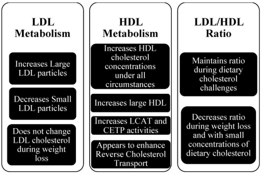Small Particle Ldl Diet Foods