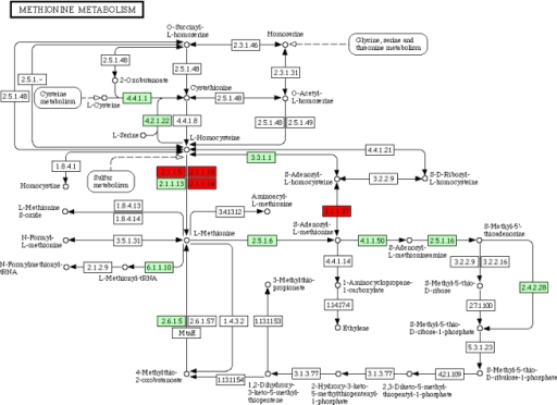 Methionine Metabolism In Nematodes Cytosine