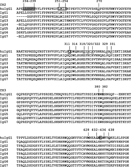 Amino Acid Sequence Alignment Of The Fc Region Of EqIgG Open I