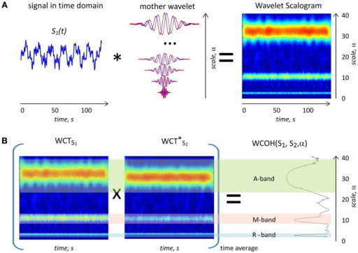 Wavelet Matlab Code