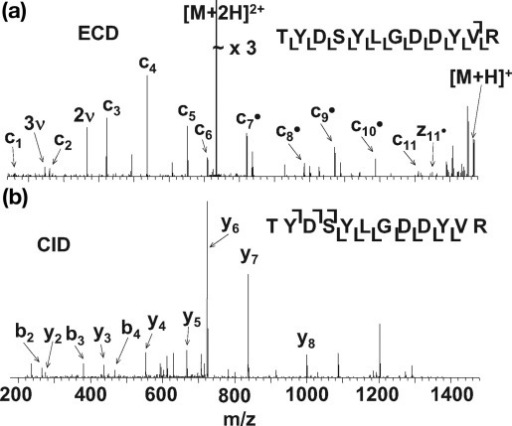 ECD (a) And CID (b) Mass Spectra Of Doubly Protonated I | Open-i