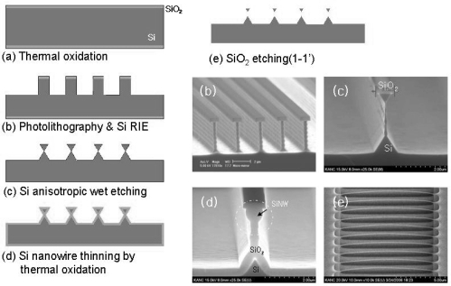 Fabrication Of Silicon Nanowires With Top Down Approach Open I