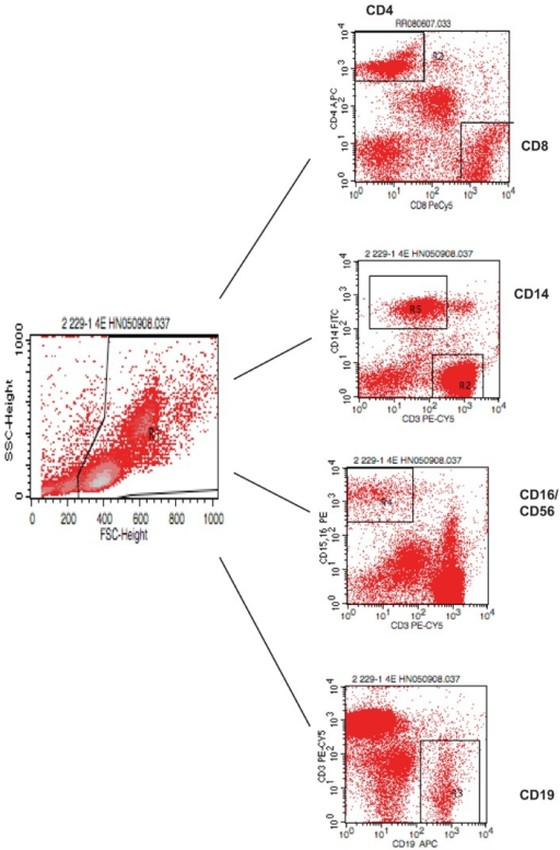 Gating Strategy For Flow Cytometry Analysis Of Blood Ly Open I