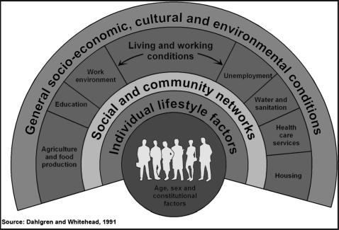 Dahlgren and Whitehead's model of the social determinants of health.