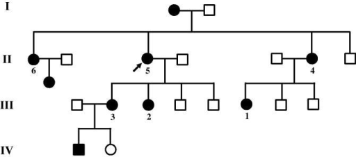 Family pedigree. Roman numerals represent the 1st to th | Open-i