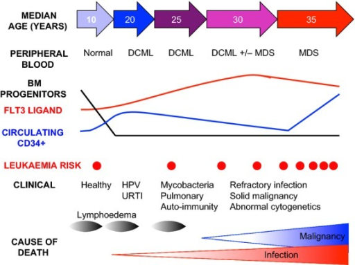 Schematic diagram summarizing the evolution of cellular | Open-i