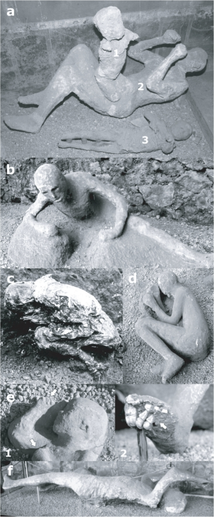 pompeii the best preserved tragedy essay It's time for another wednesday photo essay where i scroll through the tragedy and glory of ancient pompeii is one of pompeii’s best preserved buildings. pompeii the best preserved tragedy essay It's time for another wednesday photo essay where i scroll through the tragedy and glory of ancient pompeii is one of pompeii’s best preserved buildings.