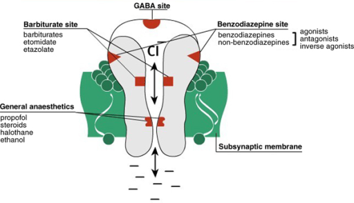 gabapentin and benzodiazepine interaction