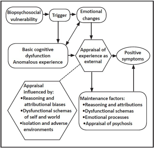 What Are The Positive Symptoms Of Psychosis