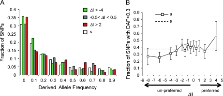 allele derived