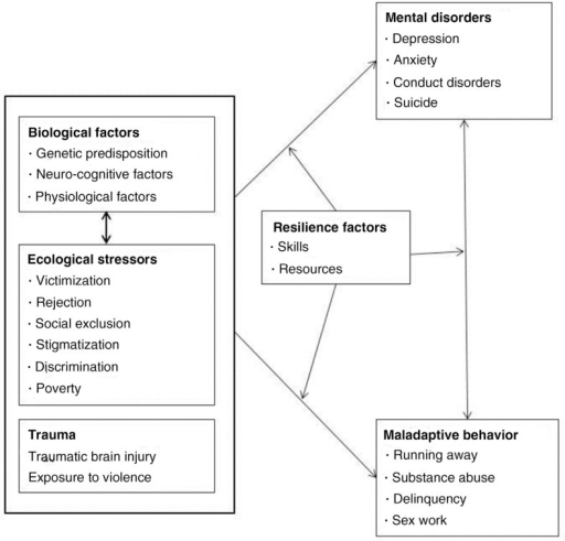 A Framework Using The Social Stress Theory To Depict Ev Open i