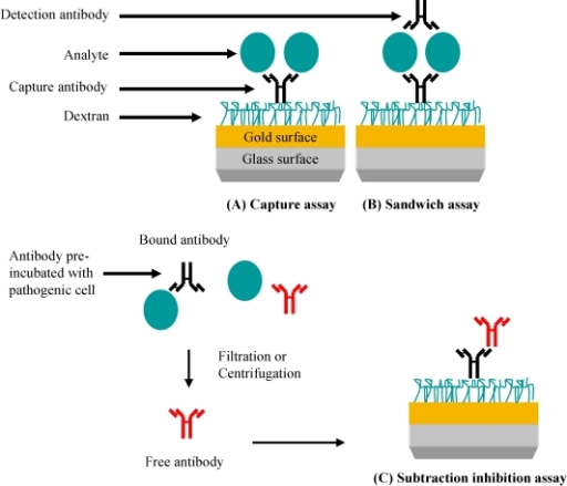 Spr Based Assays For Pathogen Detection A Specific A Open I 0150