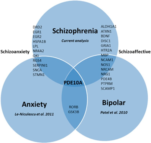 Genetic overlap among psychiatric disorders. | Open-i