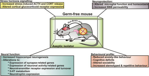 Germ-free (GF) mice as a tool to study the microbiota-g | Open-i