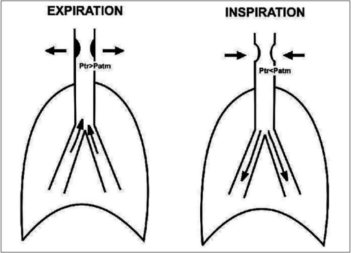 Schematic diagram explaining the mechanism of variable | Open-i