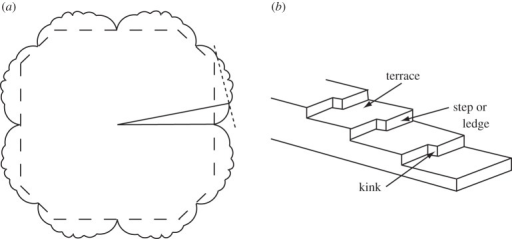 silver surface energy wulff construction wolfram player