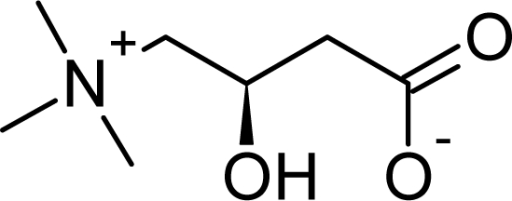 l-carnitine composition of of i Carnitine  L Open Structure