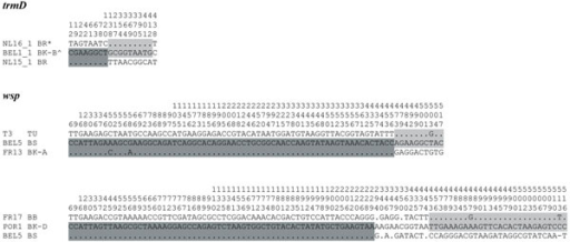 examples of recombination within trmd and wsp only pol open i how to open a wsp file