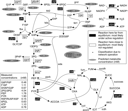 NET analysis of the E. coli metabolome data (Schaub et | Open-i