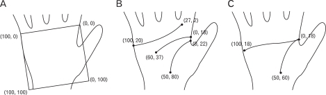 X and Y coordinates of radial longitudinal crease (I), | Open-i