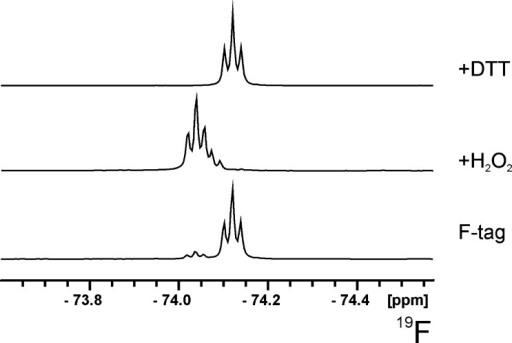 Fluorine Nmr Shifts