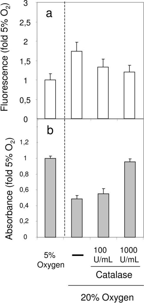 the effect of catalase C) have an effect on the activity of the enzyme catalase (found in beef liver) in the breakdown of hydrogen peroxide hypothesis if liver is placed in different temperatures of 0. the effect of catalase C) have an effect on the activity of the enzyme catalase (found in beef liver) in the breakdown of hydrogen peroxide hypothesis if liver is placed in different temperatures of 0.