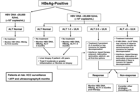 Algorithm For The Management Of Hepatitis B E Antigen ( | Open-i