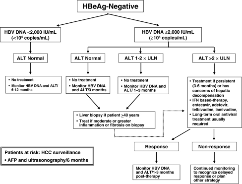 Algorithm For The Management Of Hepatitis B E Antigen ( | Open-i