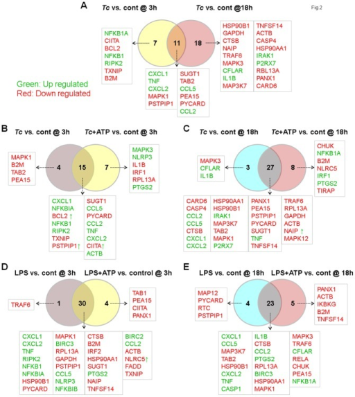 venn diagram gene venn diagram of inflammasome related differential gene venn diagram gene venn diagram of inflammasome related differential gene