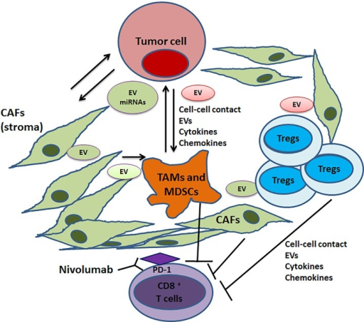 Barriers in the tumor microenvironment that dampens ant | Open-i