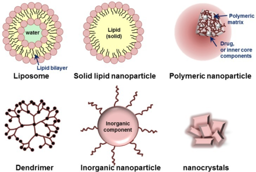 Schematic Illustration Of Various Nanoparticles Classif | Open-i