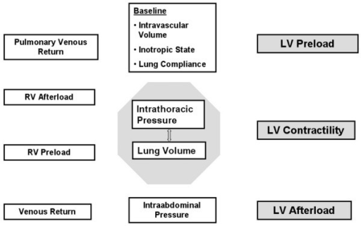 Schematic Representation Of Potential Cardiopulmonary I | Open-i