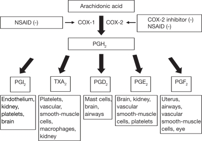 The cyclooxygenase pathway (reproduced with permission ...