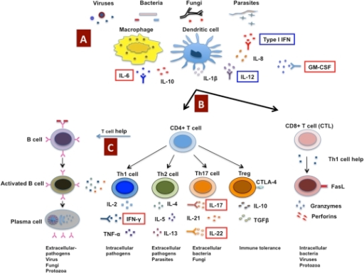 Host immune response to pathogens and predisposition to | Open-i