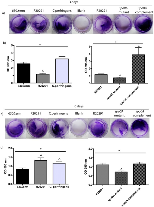 Crystal Violet Quantification Of Biofilm Formation.a) Visualisation Of ...