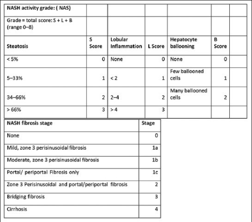 NASH activity grade and fibrosis stage based on Brunt c | Open-i