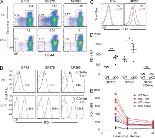 Transient PD-1 expression on virus-specific CD8 T cells | Open-i