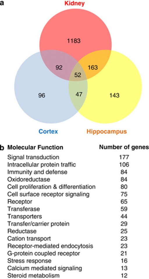 venn diagram gene venn diagram microarray analysis images how to guide and venn diagram gene venn diagram microarray analysis images how to guide and
