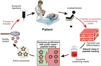 Clinical grade exosomes in immunotherapy. The process o | Open-i