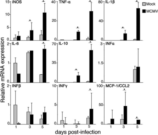 The Relative Mrna Expression Of Inos Cytokines And Ch Open I