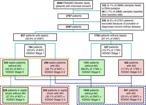 acute kidney injury guidelines 2017 pdf