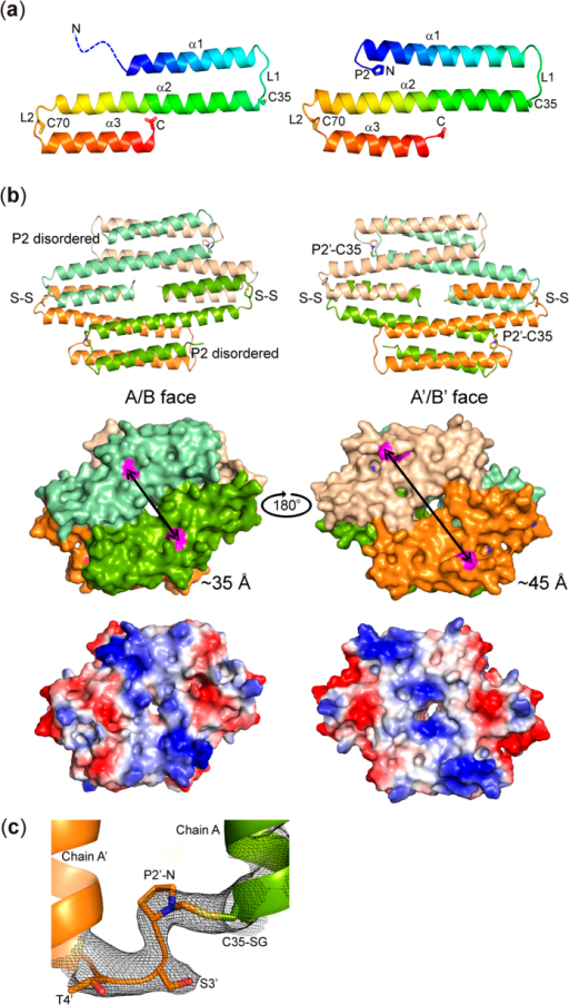 Structure Of Ecfrmr A Cartoon Representations Of Uncr Open I