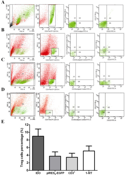 Inductive effect of CHO cells with IDO transfection on | Open-i