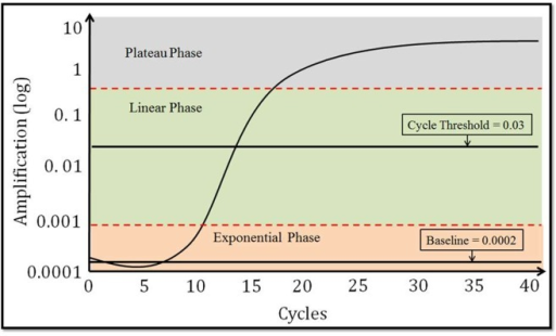 The phases and components of a PCR curves: (1) baseline | Open-i