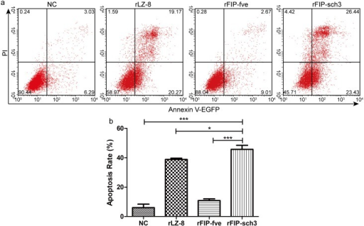 FACS Analysis Of Apoptosis Induced By RFIPs.A549 Cells | Open-i